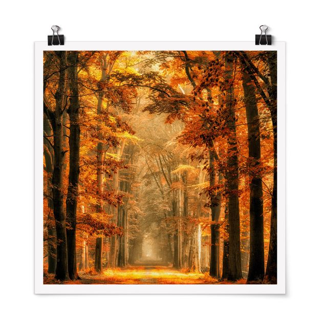 Wanddeko Schlafzimmer Märchenwald im Herbst