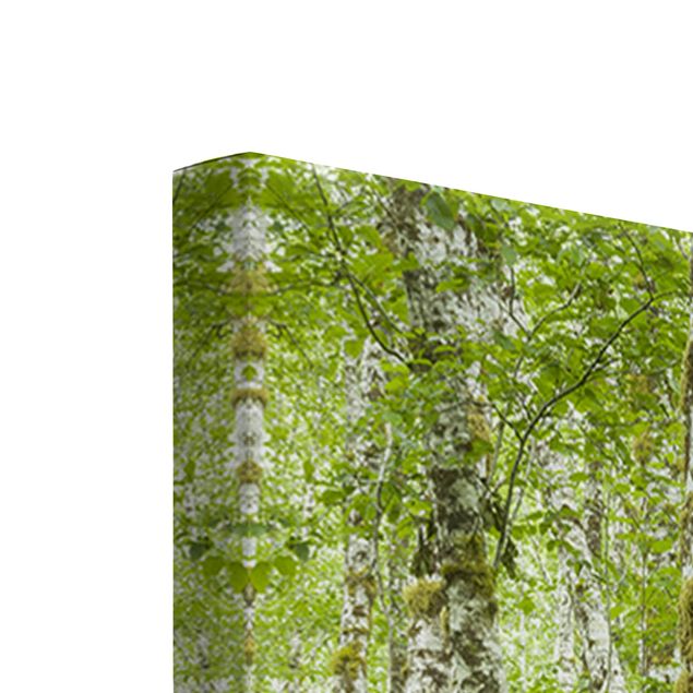 Wanddeko Treppenhaus Hoh Rainforest Olympic National Park