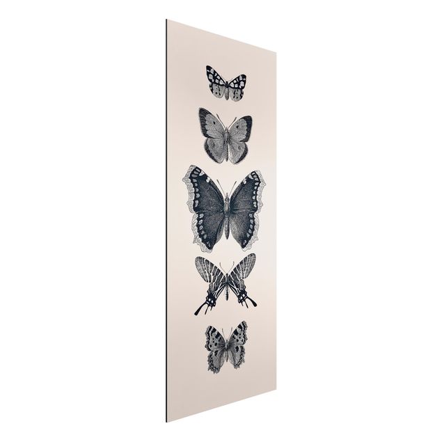 Wanddeko grau Tusche Schmetterlinge auf Beige