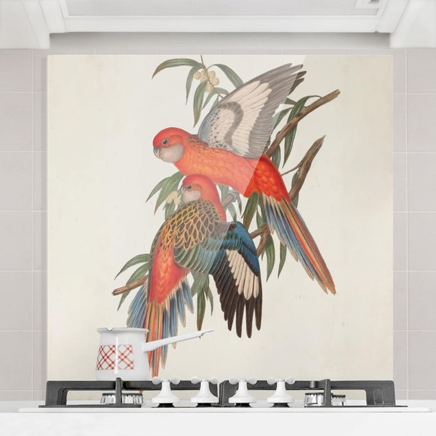 Küchen Deko Tropische Papageien I