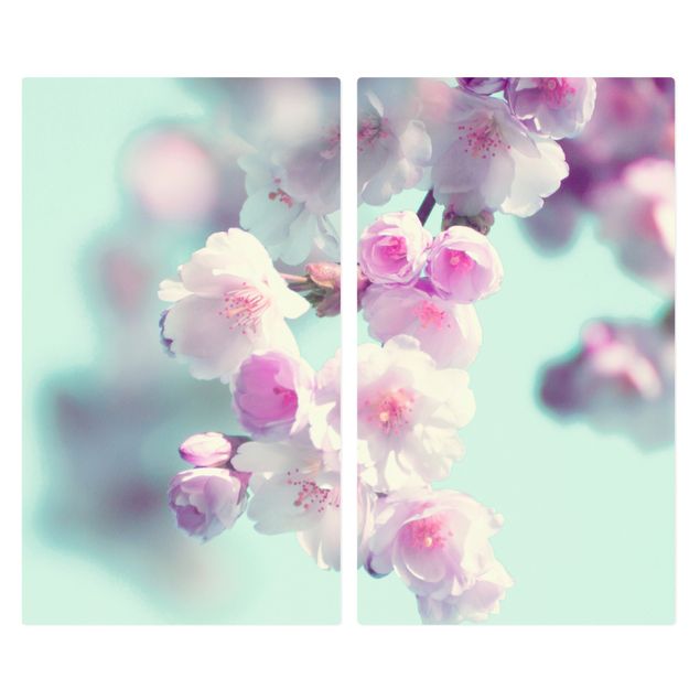 Wanddeko Fotografie Farbenfrohe Kirschblüten