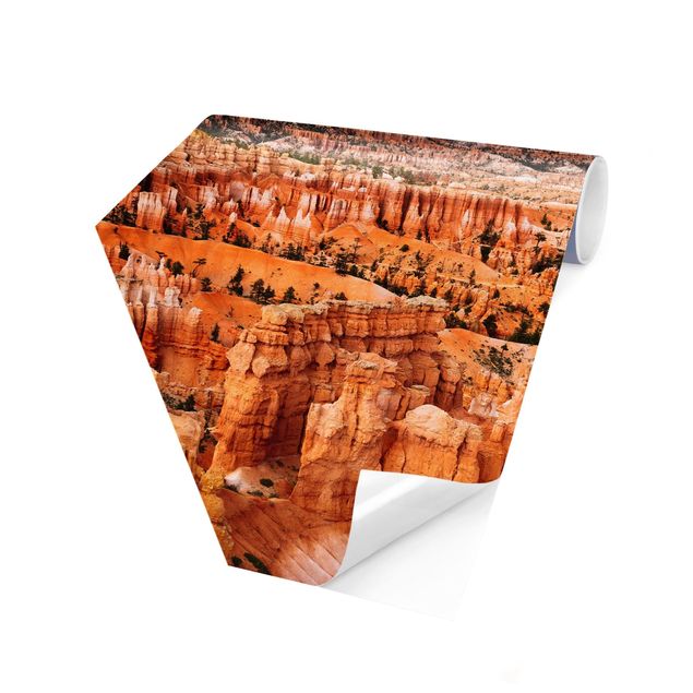 Wanddeko orange Farbenpracht des Grand Canyon