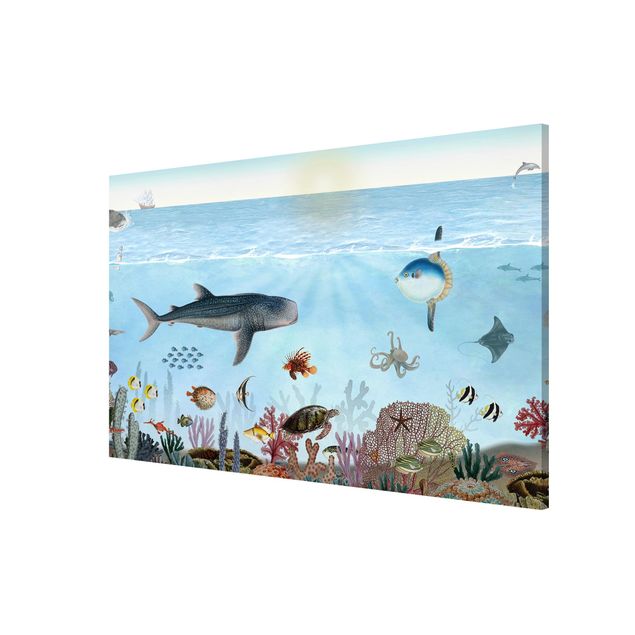 Wandbilder Fische Faszinierende Kreaturen am Korallenriff
