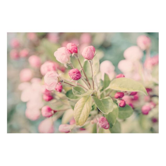 Wanddeko Flur Apfelblüte Bokeh rosa