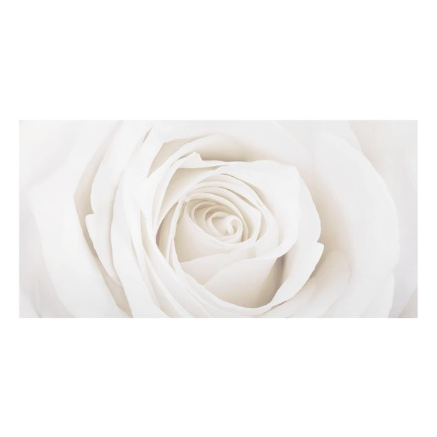 Glasrückwand Küche Blumen Pretty White Rose
