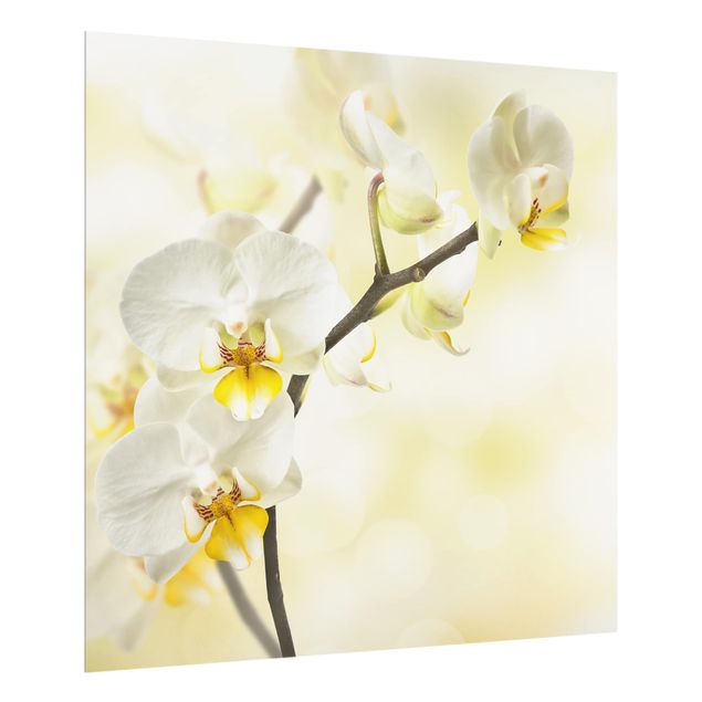 Wanddeko Blume Orchideen Zweig