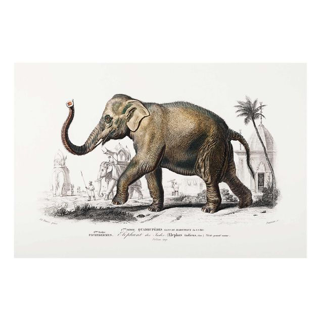 Wanddeko Esszimmer Vintage Lehrtafel Elefant