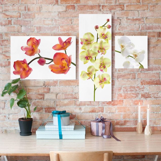 Orchideen Collage Leinwandbild 3-teilig | WALLART
