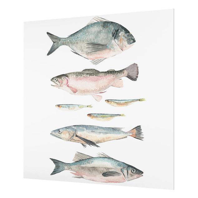 Wanddeko Fische Sieben Fische in Aquarell II