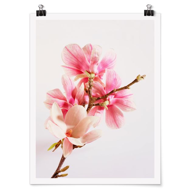 Wanddeko Esszimmer Magnolienblüten