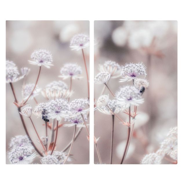 Wanddeko Fotografie Federleichte Wildblumen