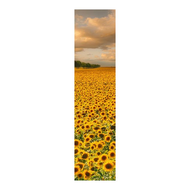 Wohndeko Botanik Feld mit Sonnenblumen