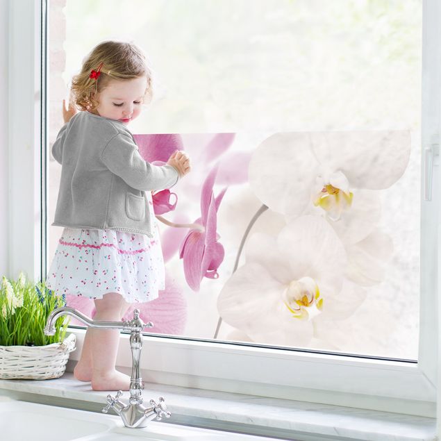 Fensterfolie - Sichtschutz Fenster Delicate Orchids - Fensterbilder