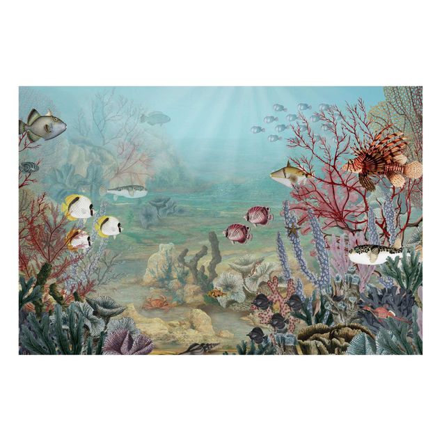 Wanddeko bunt Fernblick im Korallenriff