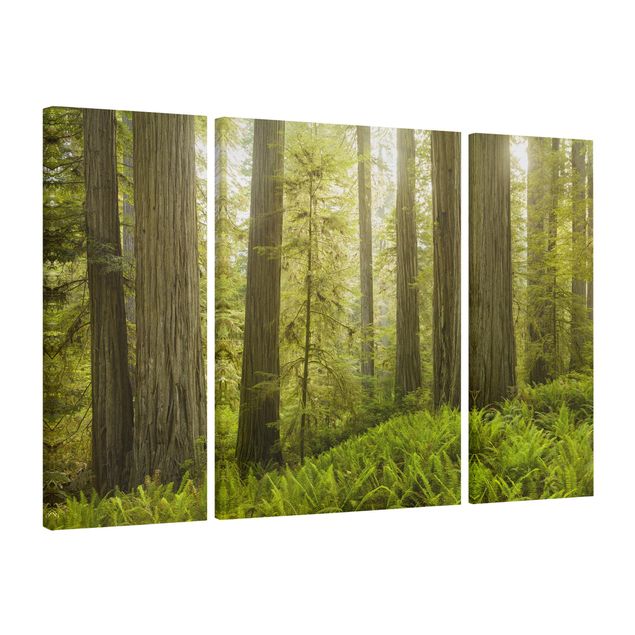 Wanddeko Esszimmer Redwood State Park Waldblick