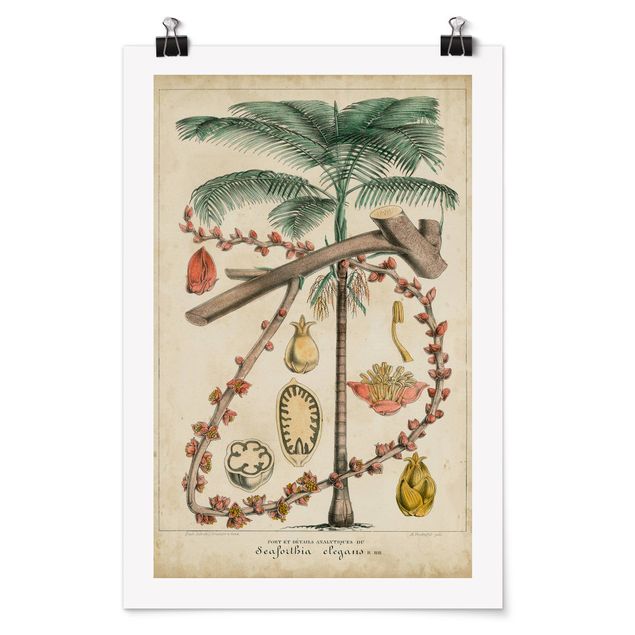 Wanddeko grün Vintage Lehrtafel Exotische palmen II