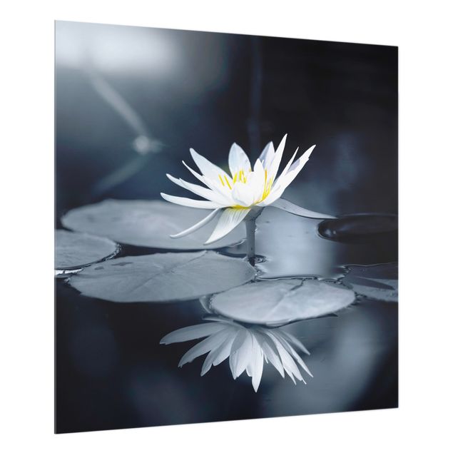 Wohndeko Blume Lotus Spiegelung im Wasser