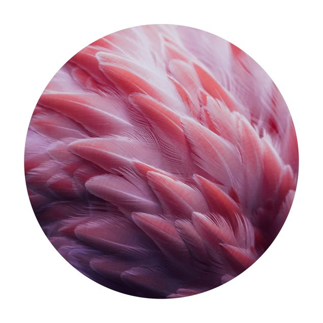 Wohndeko Feder Flamingofedern Close-up