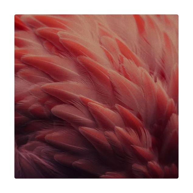 Wanddeko Feder Flamingofedern Close-up