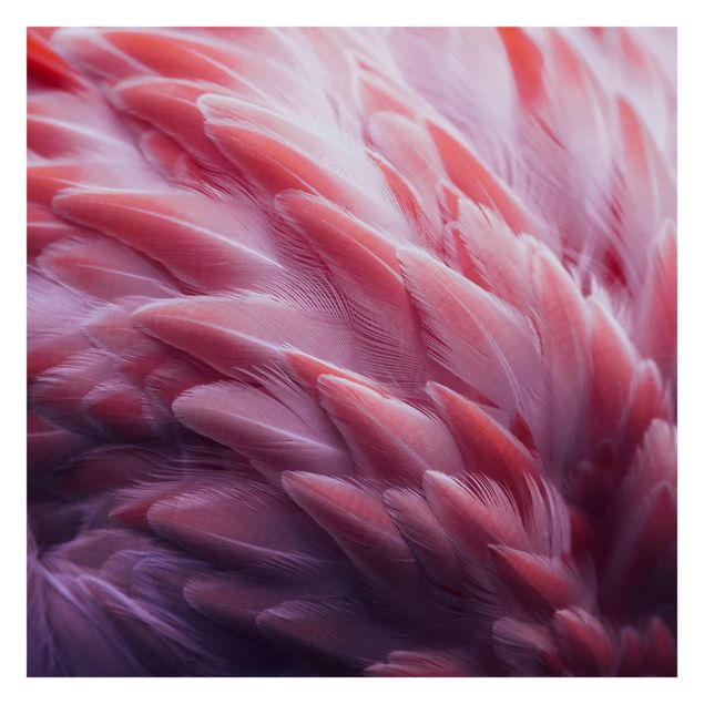 Wanddeko Esszimmer Flamingofedern Close-up