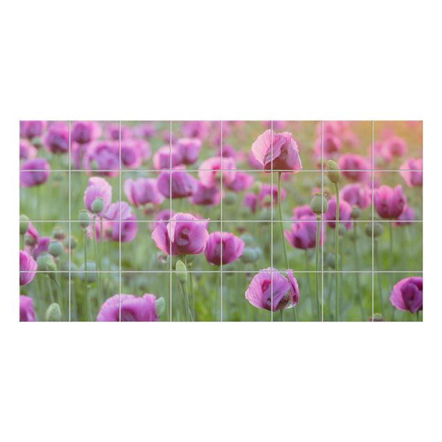 Wanddeko Botanik Violette Schlafmohn Blumenwiese im Frühling
