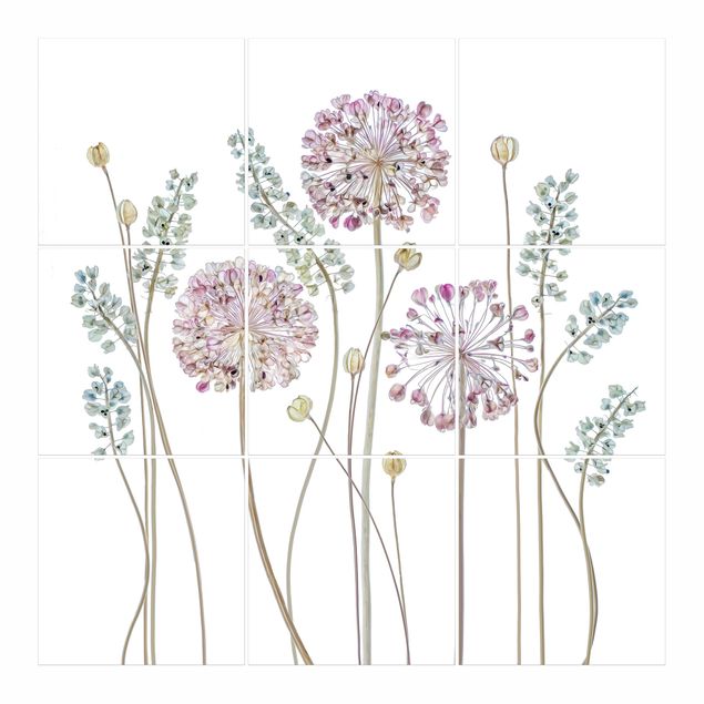 Wanddeko Blume Allium Illustration