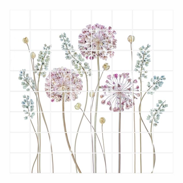 Klebefolien Allium Illustration