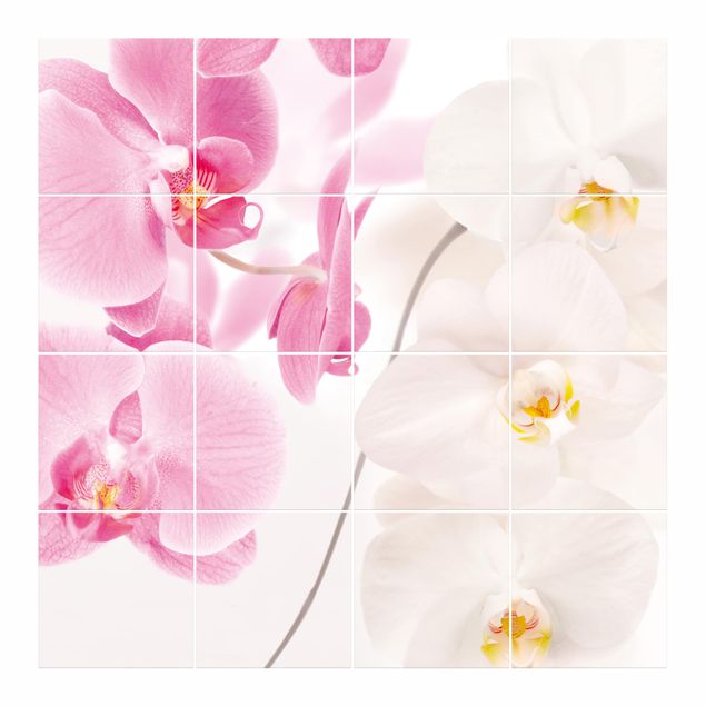Klebefolien Delicate Orchids