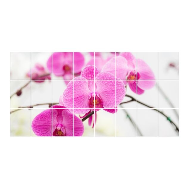 Wanddeko pink Floral Nahaufnahme Orchidee