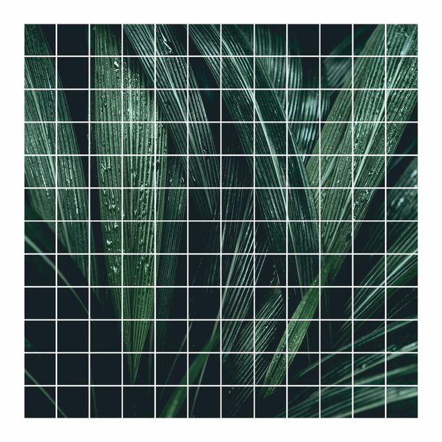 Klebefolien Grüne Palmenblätter