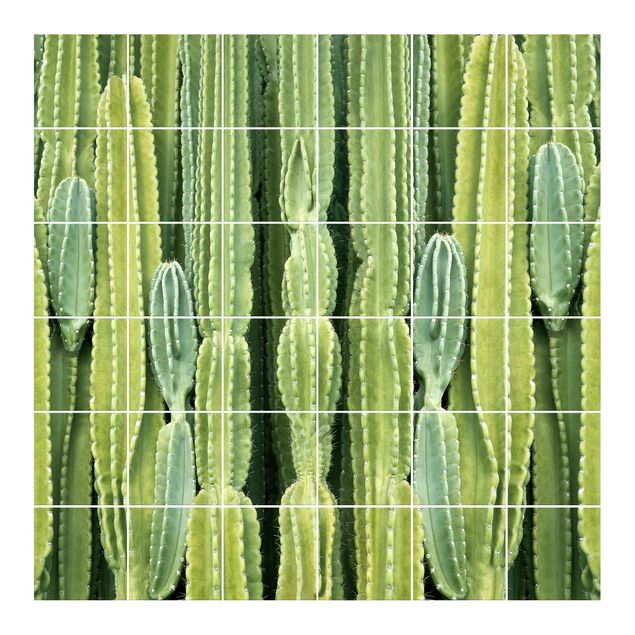 Wanddeko Botanik Kaktus Wand