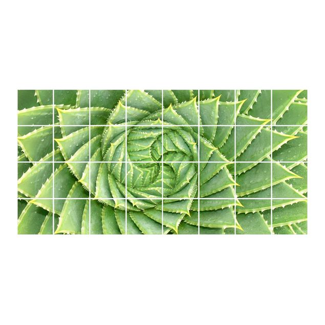 Wanddeko Büro Spiral Aloe
