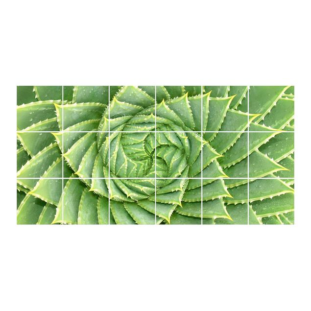 Fliesensticker grün Spiral Aloe