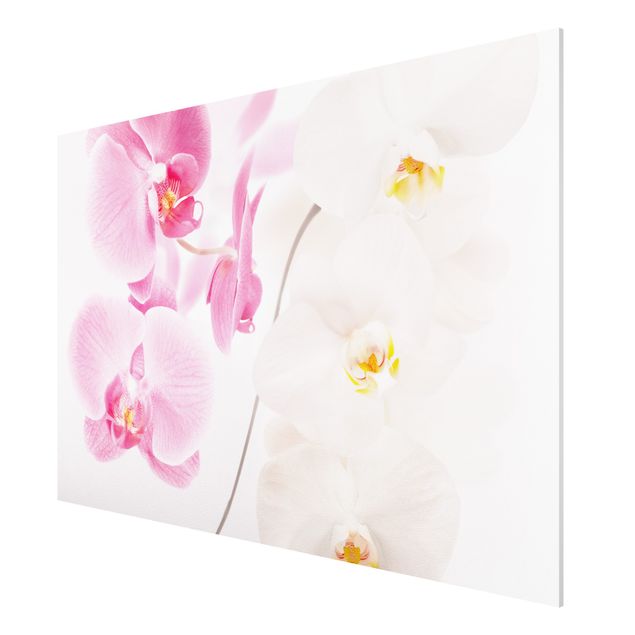 Wanddeko Schlafzimmer Delicate Orchids