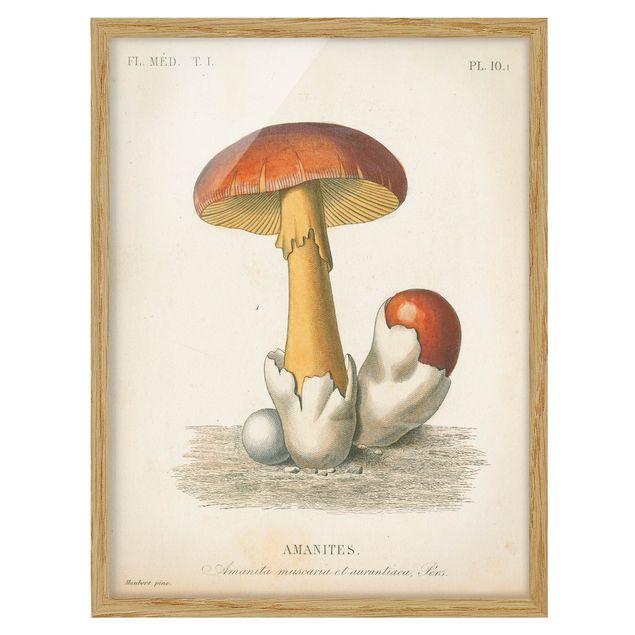 Wanddeko Esszimmer Französische Pilze