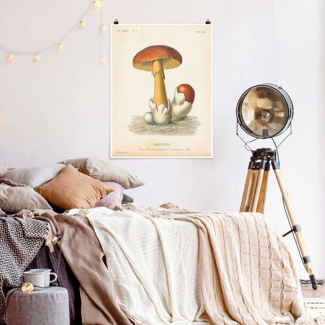 Wanddeko Esszimmer Französische Pilze