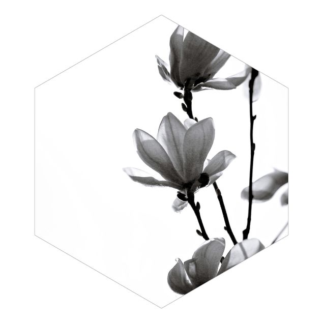 Wohndeko Pflanzen Frühlingsbote Magnolie Schwarz Weiß