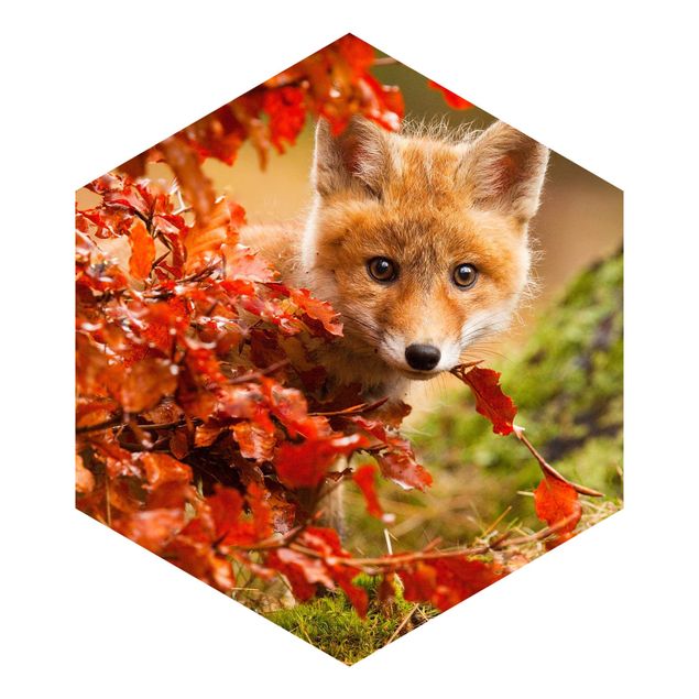 Wanddeko Jungenzimmer Fuchs im Herbst