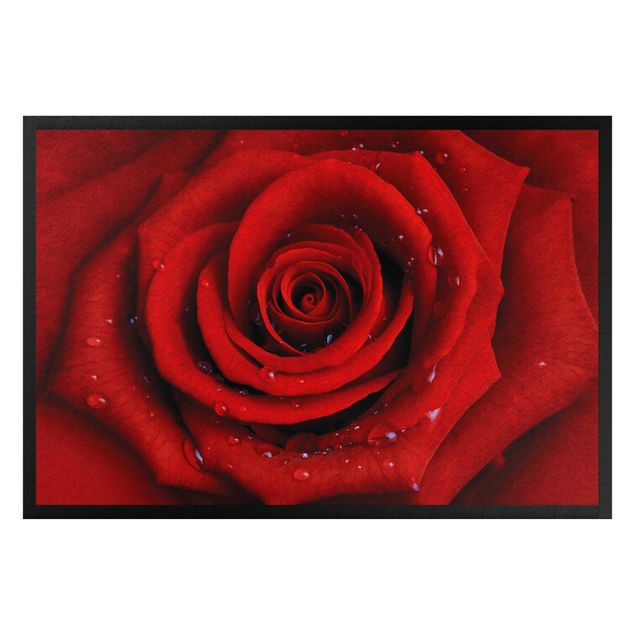 Deko Blume Rote Rose mit Wassertropfen