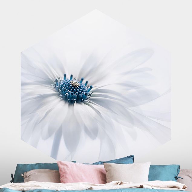 Wanddeko Schlafzimmer Gänseblümchen in Blau