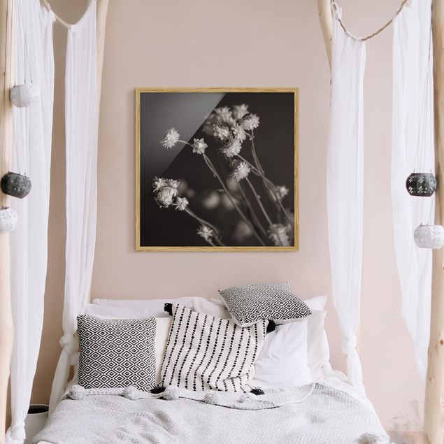Wanddeko Schlafzimmer Gänseblümchen Studie
