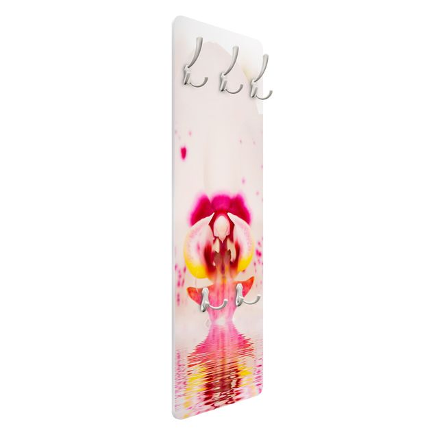 Wanddeko pink Gepunktete Orchidee auf Wasser