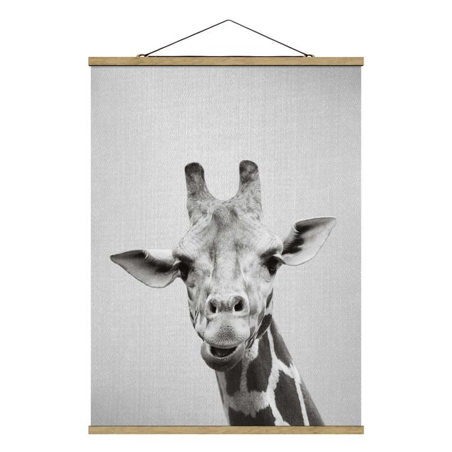 Wandbilder Giraffen Giraffe Gundel Schwarz Weiß