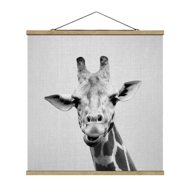 Wandbilder Giraffen Giraffe Gundel Schwarz Weiß
