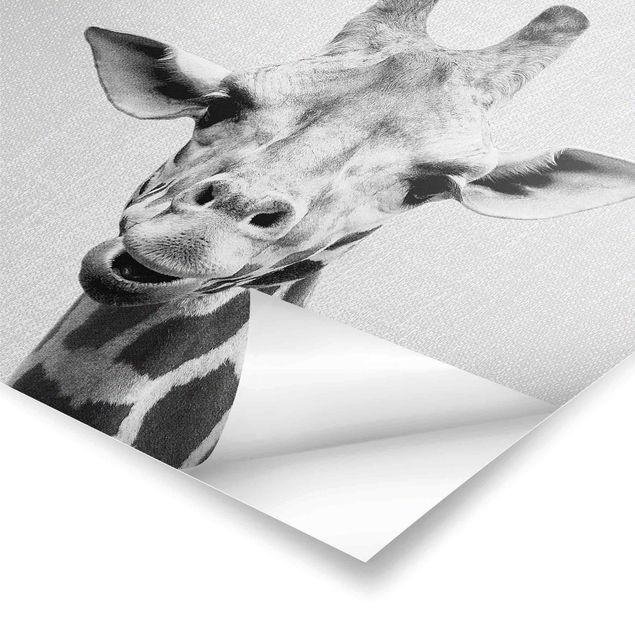 Wanddeko schwarz-weiß Giraffe Gundel Schwarz Weiß
