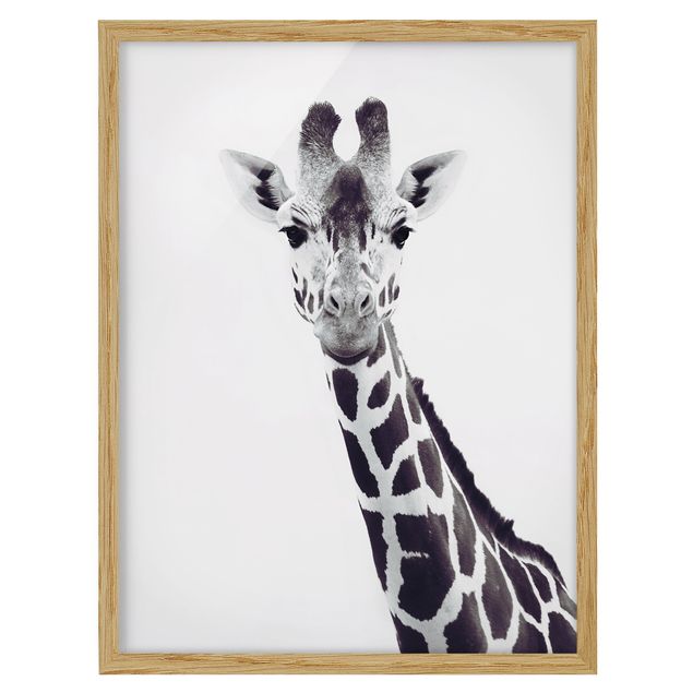 Wanddeko Flur Giraffen Portrait in Schwarz-weiß