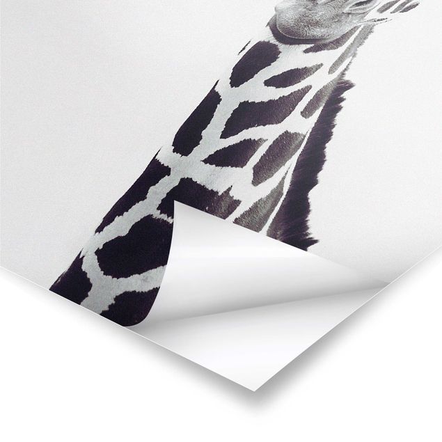 Wanddeko über Sofa Giraffen Portrait in Schwarz-weiß