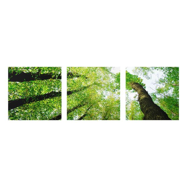 Wanddeko grün Bäume des Lebens