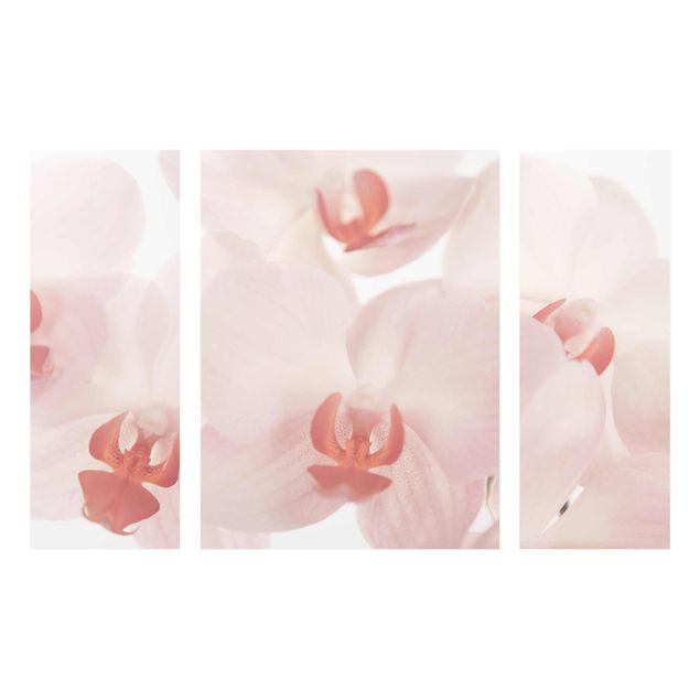Wanddeko Schlafzimmer Helle Orchidee - Svelte Orchids