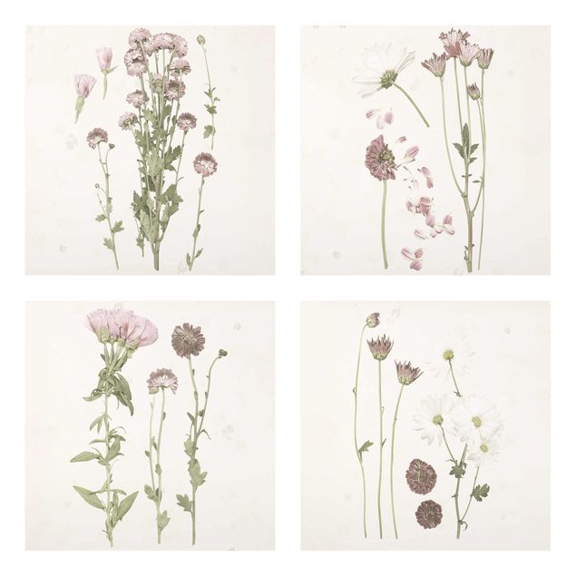 Wanddeko Esszimmer Herbarium in rosa Set I